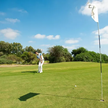 Crystal Tat Pearl Collection 贝莱克