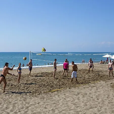 Crystal Tat Pearl Collection