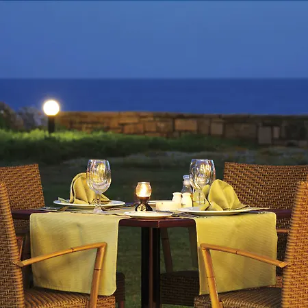 Crystal Tat Pearl Collection